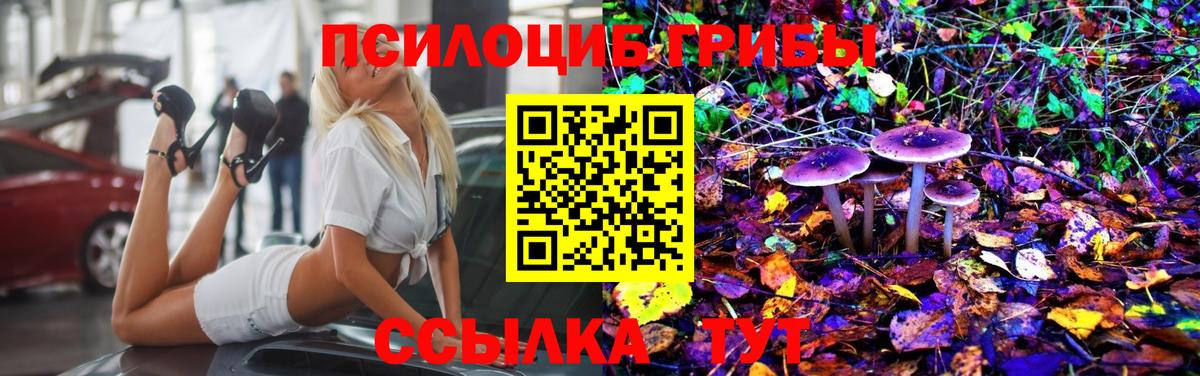 Галлюциногенные грибы ЛСД Свободный